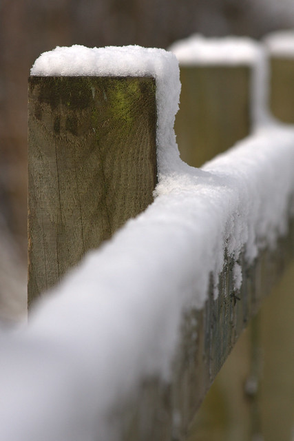 Snowy Fence Post