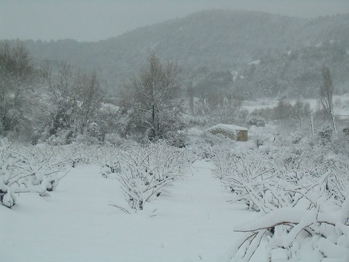 nevada gener 2010 | Carme Puxan | lallacuna | Flickr