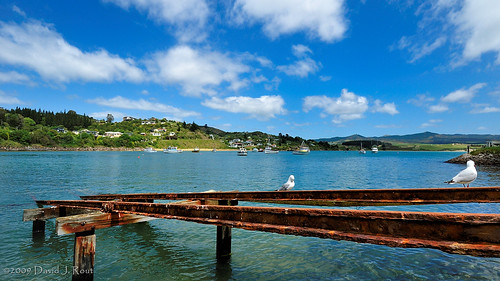 ocean blue sea newzealand white green bird clouds landscape nikon rust ripple seagull wide nz rails nikkor moeraki d300 boatramp fleursplace otagoregion 1024mmf3545g