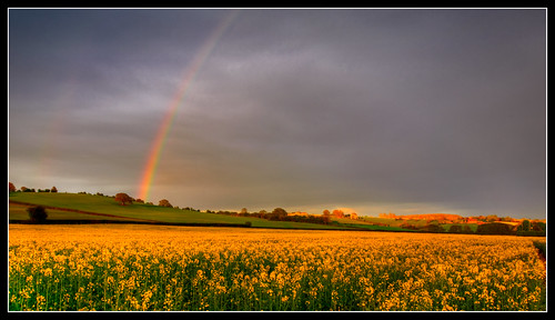 field geotagged rainbow herefordshire bodenham rapeseedoil geo:lon=26625 geo:lat=52158204