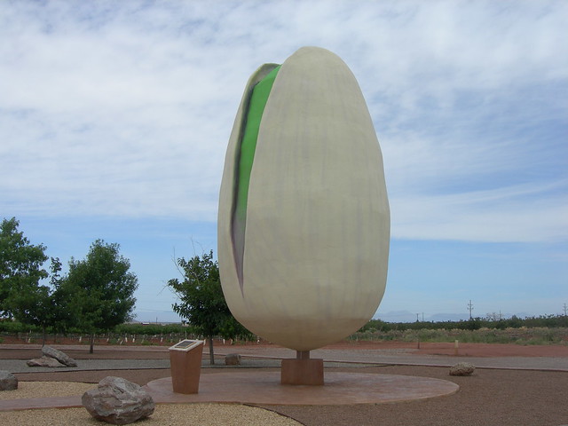 World's Largest Pistachio