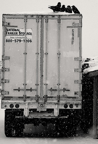 Trailer Gang | by Robert Drozda