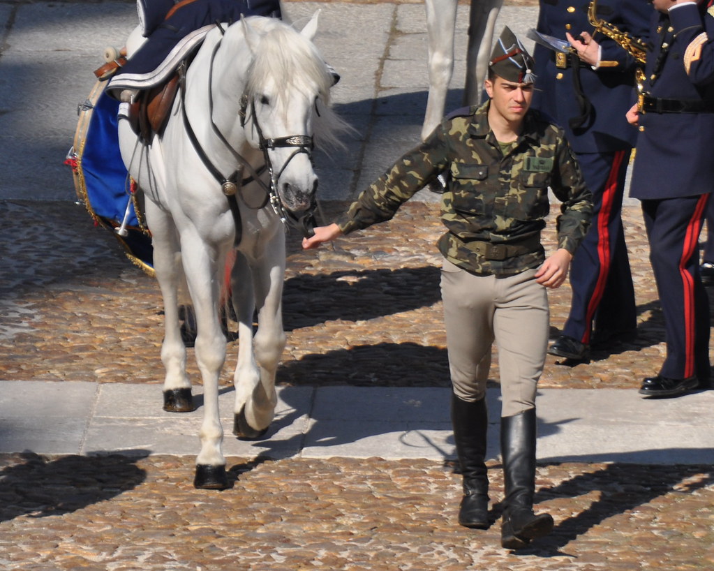 Guardia Real Española - Spanish Royal Guard