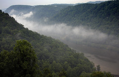 New River Valley Fog