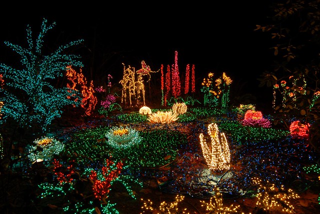 Garden D Lights At Bellevue Botanical Garden Every Decembe Flickr