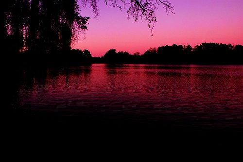 lake twilight alabama millbrook