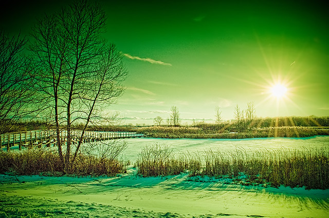 A snow scene - green
