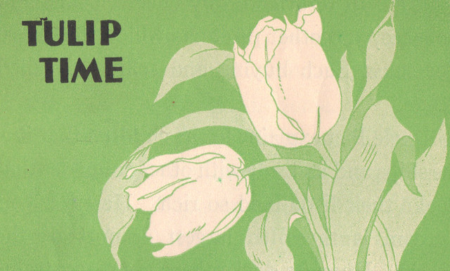 Tulip time illustrated by Curtiss Sprague