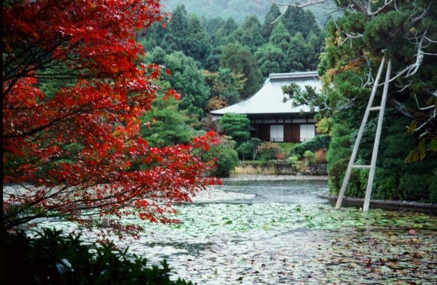 Japan - Temple