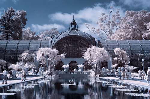 blue red color reflection pool spectacular ir interestingness cool nice interesting fantastic different sandiego unique awesome historic special explore swap infrared modified converted unusual botanicalgardens extraordinary balboapark canonefs1755mmf28isusm canoneosrebelxti tripleniceshot mygearandmegold tplringexcellence