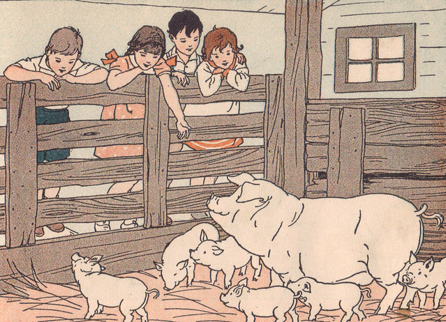 Mother pig and her 10 clean little pigs ill by M. Davis
