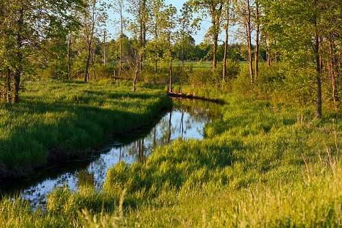 ontario rural creek jasper farm country fields dirtroad merrickville wolford irishcreek leedsandgrenville eastonscorners weedmarkroad