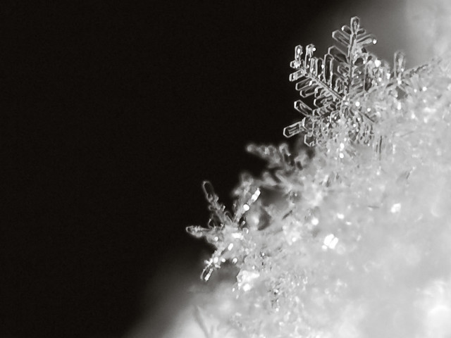 Snowflake - Printable