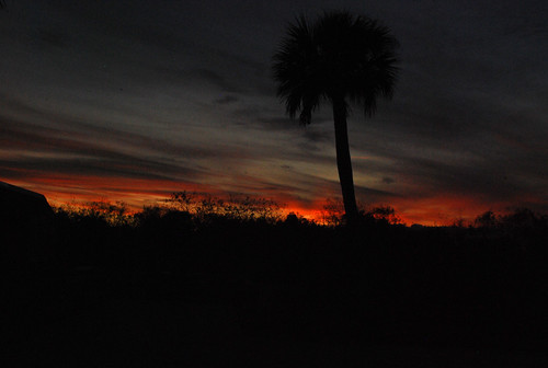 Shark Valley sunset 10 by afagen, Shark Valley, Everglades National Park, Miami, FLsunset silhouette florida nps palmtree everglades e
