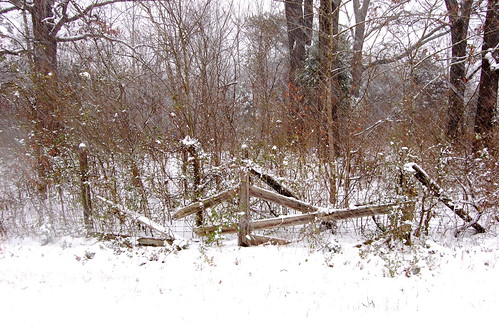 winter white snow fence woods