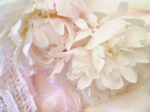 precious tidings | by meandering pearl