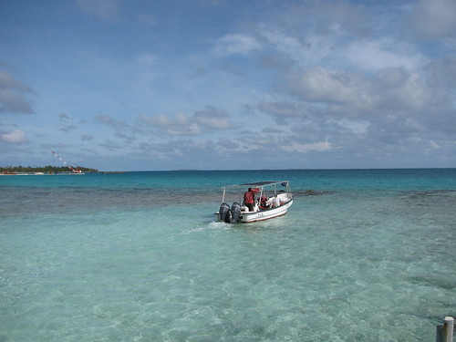 vacation boat diving frenchpolynesia tuamotus tikehau raiemantaclub motuhaamea pensiontikehauvillage