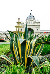 Cactus in the gardens in front of the Royal Exhibition Building