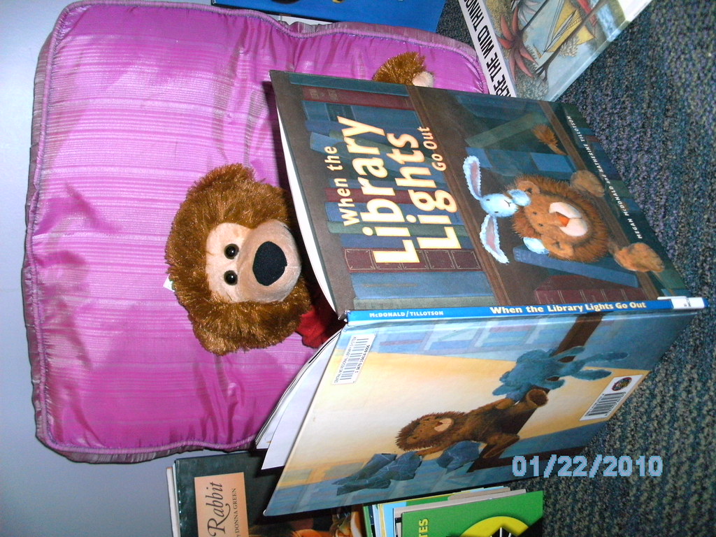 Stuffed Animal Library Sleepovers | Flickr