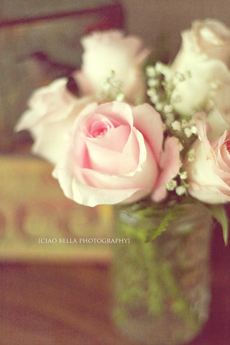 Day 64: From the heart | by Cate {S.}