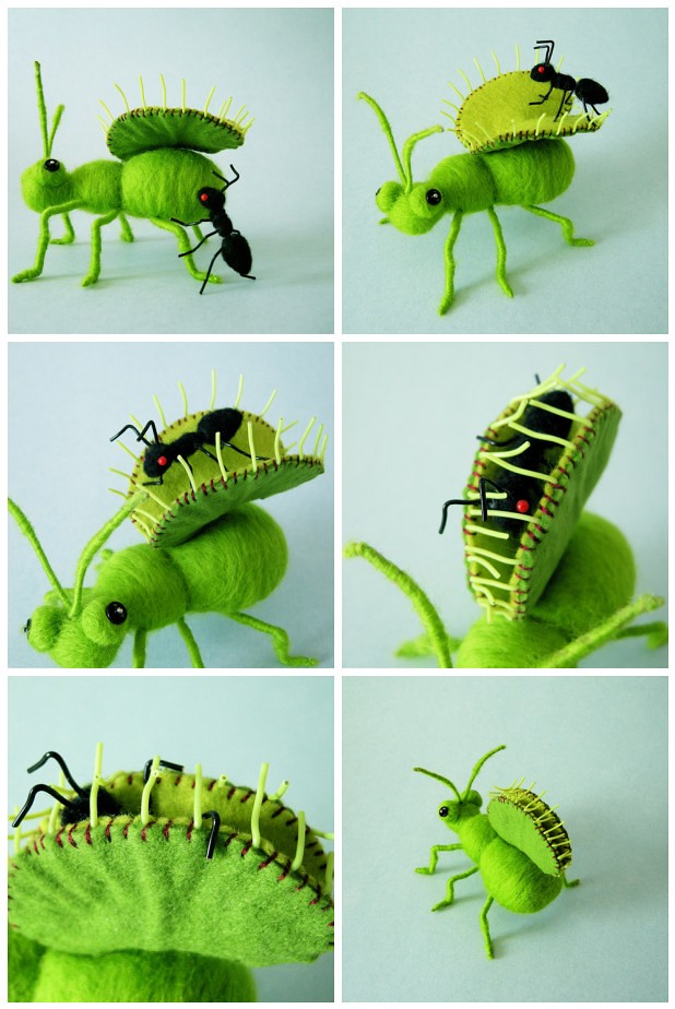 O Dai Craft Bug 食虫植物虫 For O Dai Craft Odaicraft Blogsp Flickr