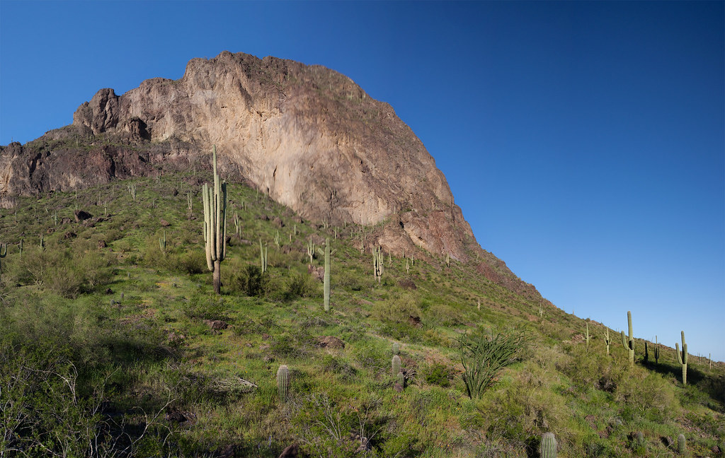 Hunter Trail, near Stargazing @ Picacho Peak State Park