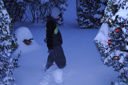 snowstorm (3) | by mschub