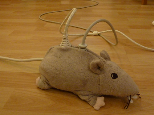 Electrified rat | by oluc
