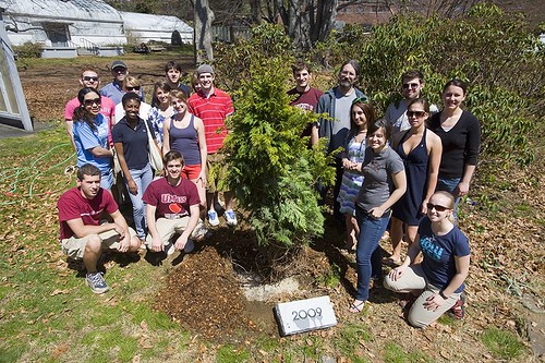 Senior Class Fund Tree Planting