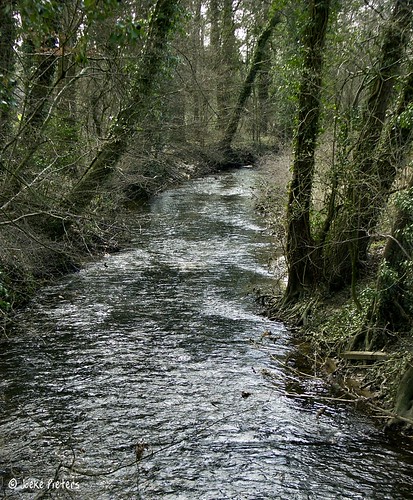 Meandering stream by joeke pieters