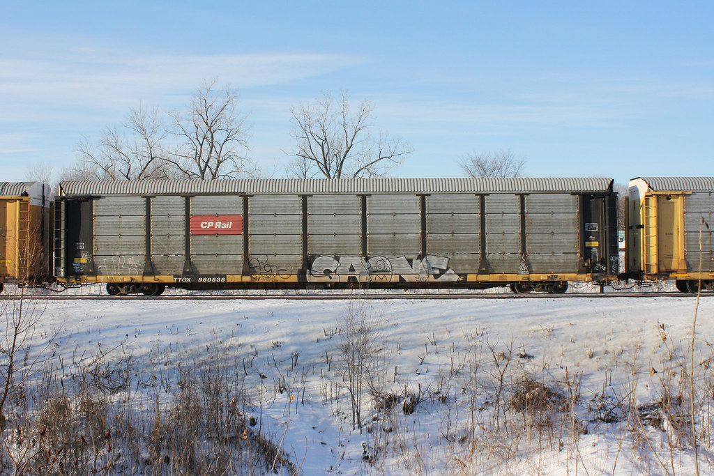 TTGX 980838 | Dan | Flickr