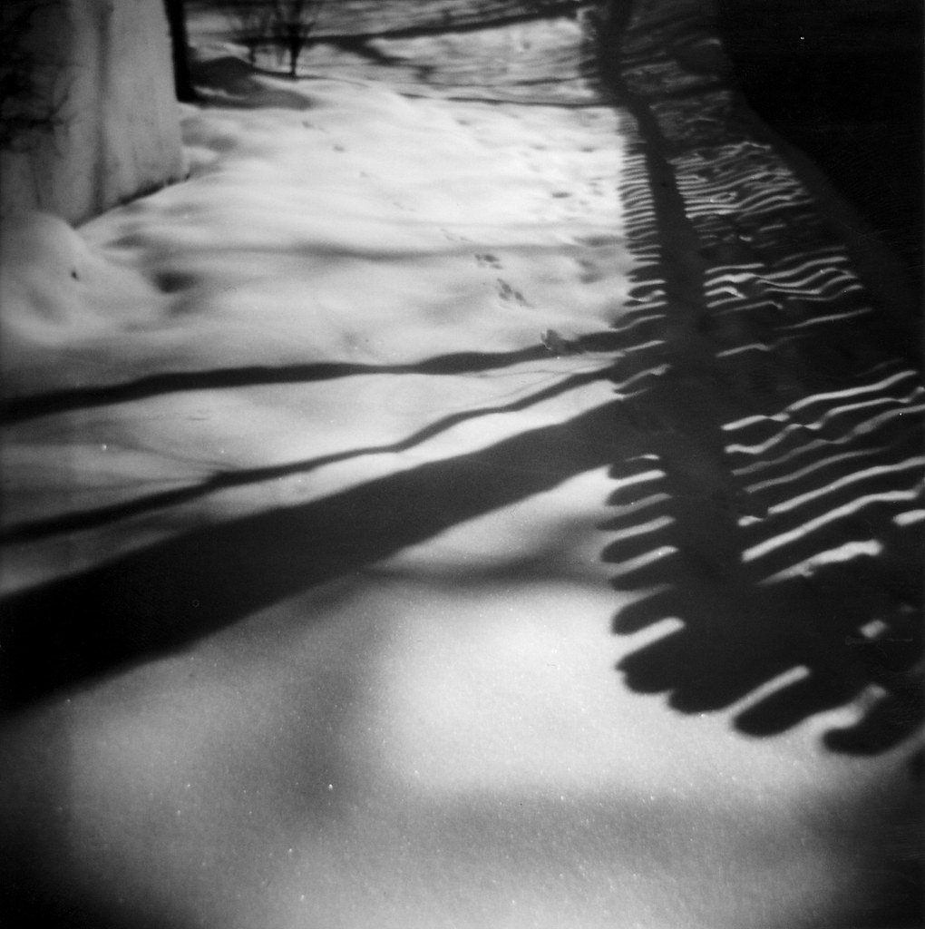 Fence Shadows on Snow by ricko