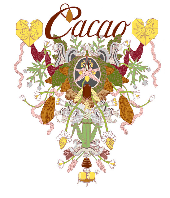 Cacao tshirt  design color version