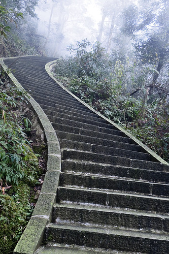 Steps | by davе