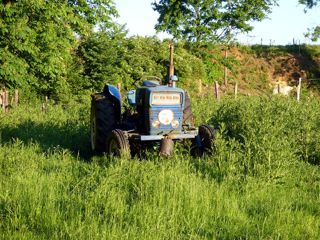 Classic Ford Tractor