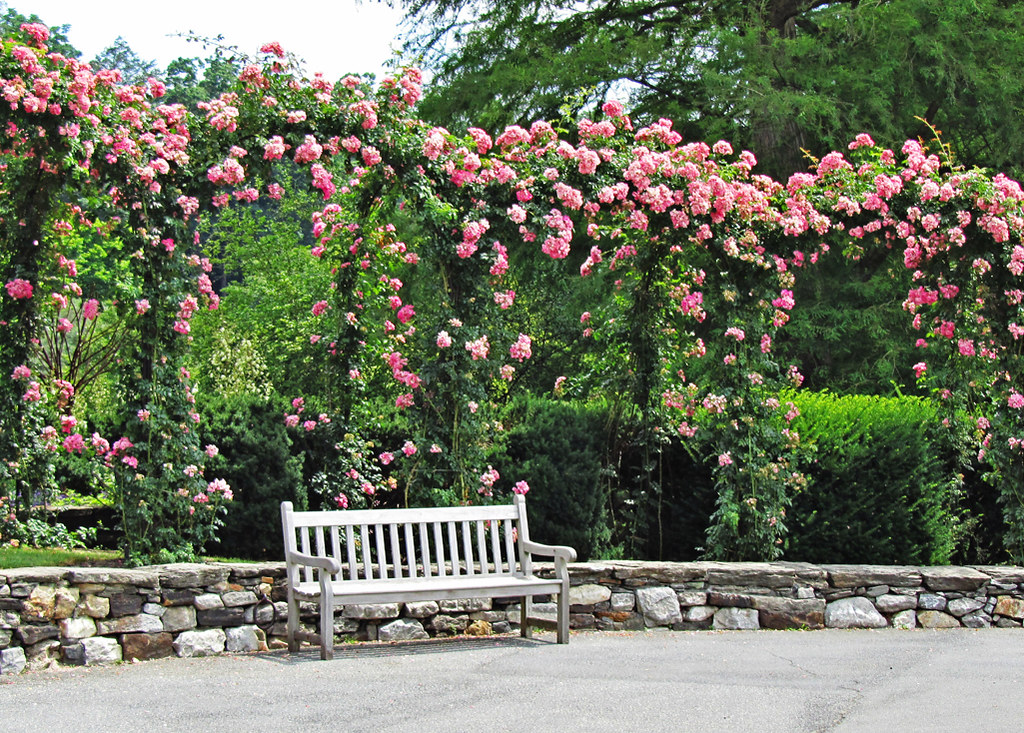 Bench and Arbor | Rose arbors. | nfin10 | Flickr