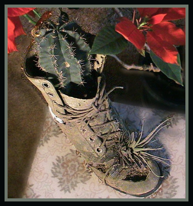 Cactus in Boot "Walk not in the counsel of wicked" by Heirs with Him