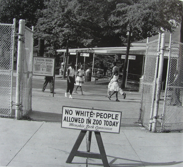 NO WHITE PEOPLE ALLOWED IN ZOO TODAY