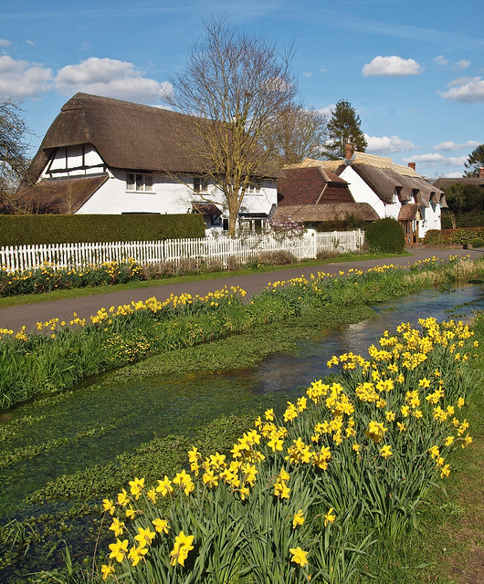 Thatched cottages and Daffodils line the stream which flows through King's Somborne in Hampshire