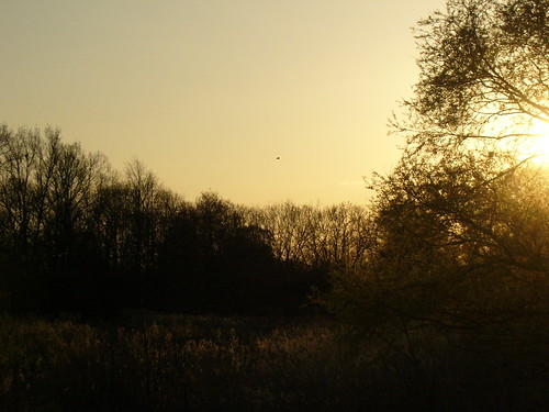 P1050272 by TaiiChii, sunset spring 2010 güstrow