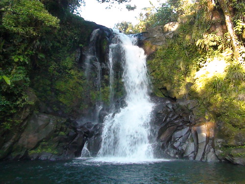 nature water waterfall costarica rara avis raraavis