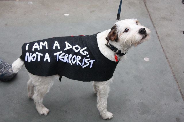 Dog not terrorist
