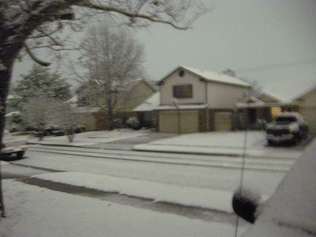 Feb 11th 2010 - Snow -1