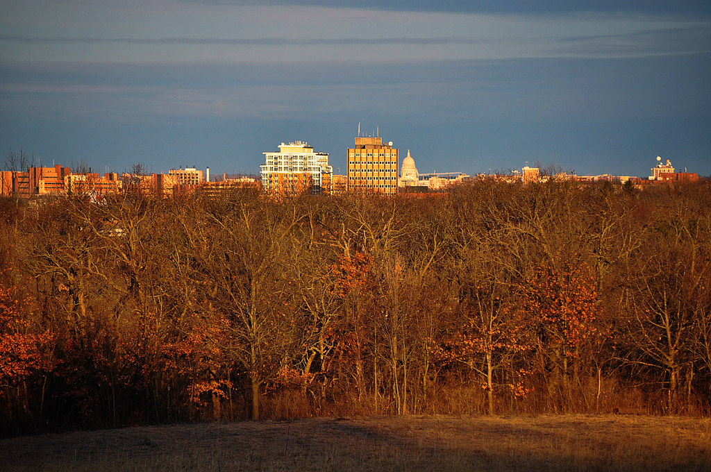 Madison Skyline Late Sunday Afternoon from Snowless Owen Park by Madison Guy