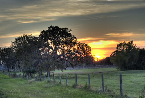 trees sunset sun field rural fence 50mm texas hempstead waller f35