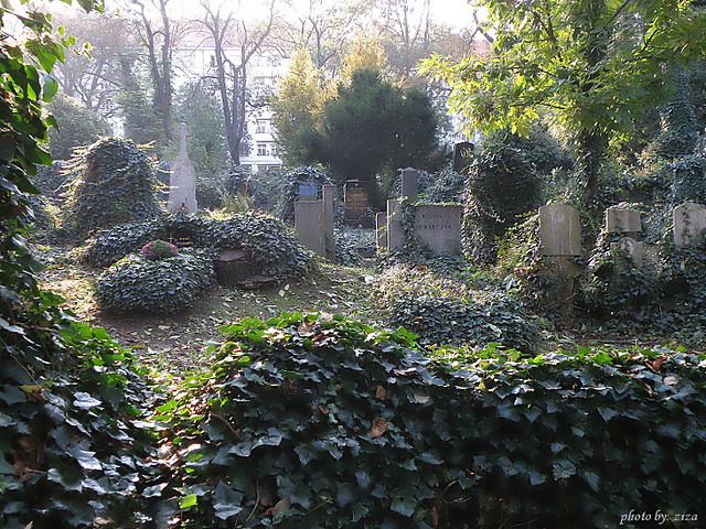 Olšany Cemeteries, Prague