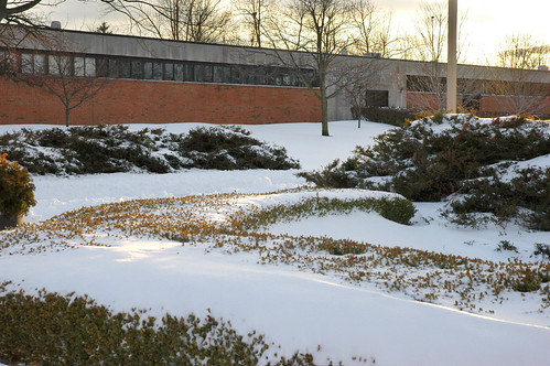 Feb. 5–6 Winter Snow Storm