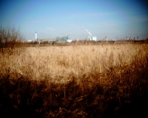 Untitled | by Frozen Lollipop