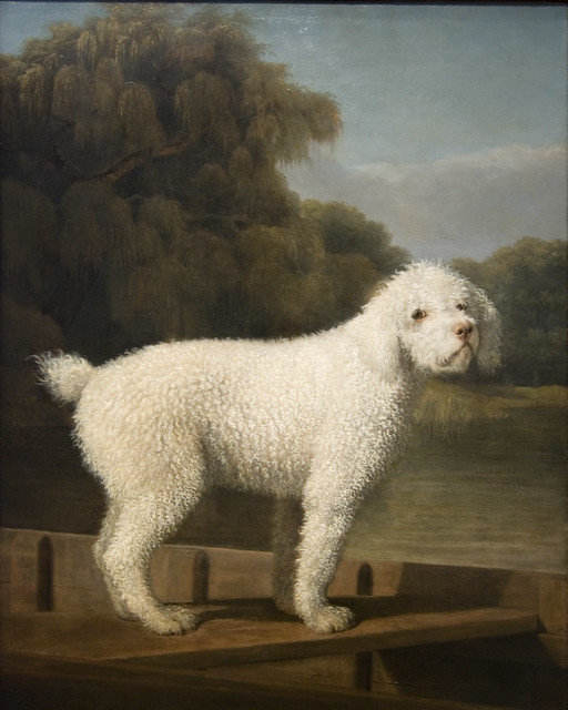 White Poodle in a Punt, c. 1780