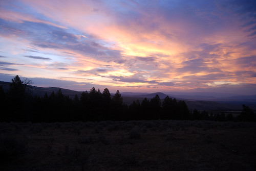 Sunrise from Camp, morning fall forest sunrise scenery montana national dillon beaverhead